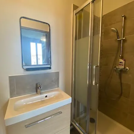 Quartier Des Thermes Le Cygne 7 アパート ヴィシー